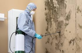 Isanti, MN Mold Prevention & Removal  Company